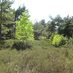 Amazing In With 3 Bedrooms And Wifi